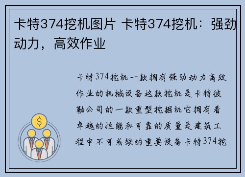 卡特374挖机图片 卡特374挖机：强劲动力，高效作业